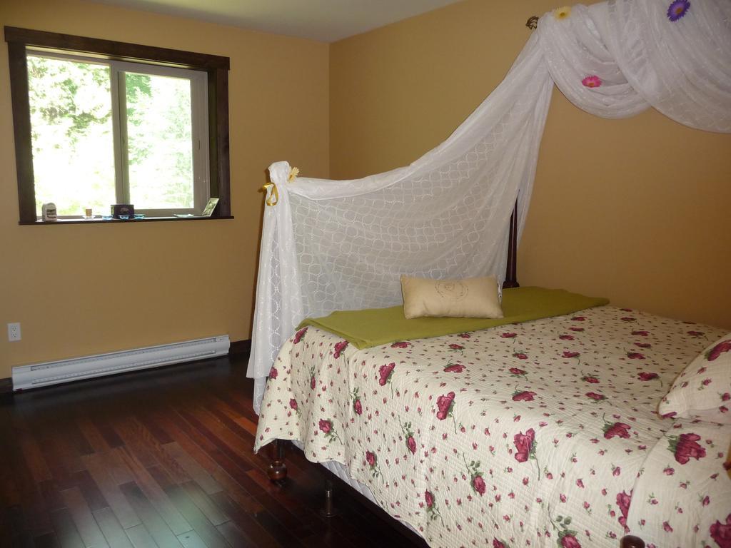 シーシェルト Davis Brook Retreat Bed & Breakfast エクステリア 写真