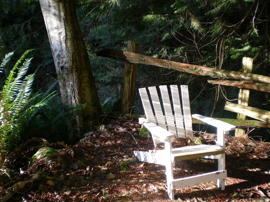 シーシェルト Davis Brook Retreat Bed & Breakfast エクステリア 写真