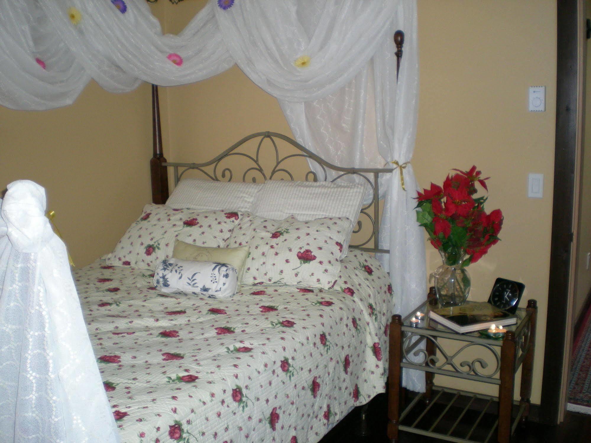 シーシェルト Davis Brook Retreat Bed & Breakfast エクステリア 写真
