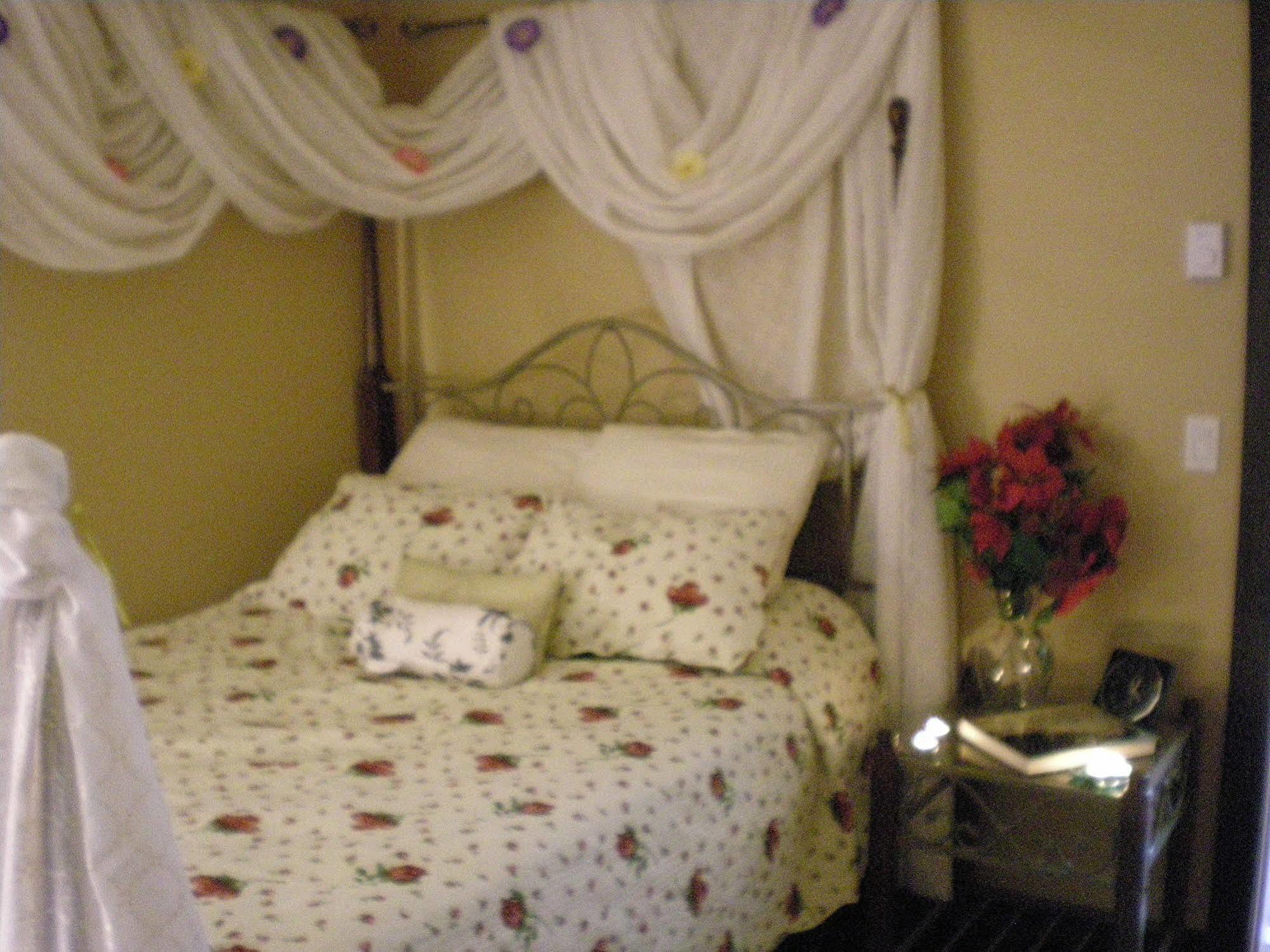 シーシェルト Davis Brook Retreat Bed & Breakfast エクステリア 写真